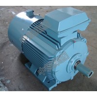 DSB系列隔爆型三相異步電機(jī),DSB系列隔爆型三相異步電機(jī)