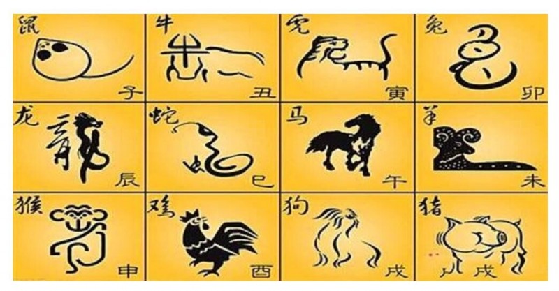 十二屬相相克相沖口訣表,相沖相克沖合表大全