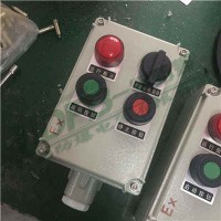 LBZ防爆操作柱 防爆機旁箱 防爆遠程操作箱 防爆操作箱