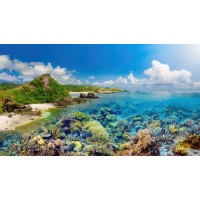 真相曝光！融商環球不正規！親身經歷講述虧損受騙真相！