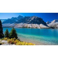 真相！貴州中進大宗不正規！揭開老師指導虧得原因！