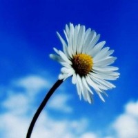 真相揭露！恒信期貨不正規(guī)！親身經(jīng)歷講述受騙虧損真相