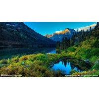 真相揭露！復利期權不正規(guī)虧損幾十萬恍然醒悟是場局！