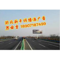 湖北武漢創(chuàng)意墻體店招廣告，湖北武漢戶外廣告牌安裝，武漢軍運會