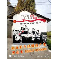黃石鄉(xiāng)村文化墻彩繪、黃石3D畫立體地面彩繪、黃石店招墻體公司