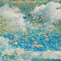 真相揭露國明證券正規靠譜嗎？騙局揭秘坑我幾十萬!難友速來