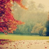 真相揭露u財?shù)勒?guī)靠譜嗎？騙局揭秘坑我?guī)资f!難友速來