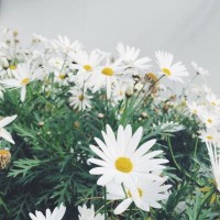 真相揭露富勤財富正規靠譜嗎？騙局揭秘坑我幾十萬!難友速來