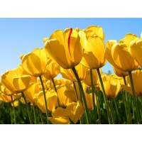 浙商國際騙局解析!揭露虧損內(nèi)幕!被騙速度看來