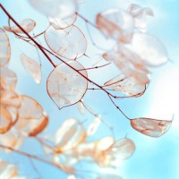 真相揭露指贏財經不正規內幕！揭露騙局真相本人親身經歷告誡