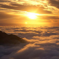 真相揭露信道大宗正規(guī)靠譜嗎？騙局揭秘坑我?guī)资f(wàn)!難友速來(lái)