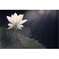 新紀元期貨被騙虧損怎么辦？2020年投資新騙局遭曝光！