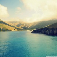 海農(nóng)中藥材正規(guī)嗎？是騙局嗎？跟上老師操作竟然虧損一敗涂地！