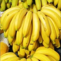 深圳進(jìn)口水果報(bào)關(guān)代理公司