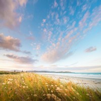 曝光老高自媒體交流群不正規(guī)！揭露高國良帶單坑我?guī)资f真相