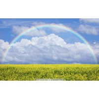 講述基斯克威爾不正規(guī)虧損經(jīng)歷,投資被騙幾十萬可挽回!