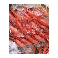 微波對蝦烘干設備