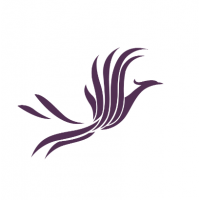 進口52號全精煉石蠟