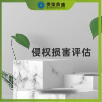 內(nèi)蒙古省呼和浩特市無(wú)形資產(chǎn)評(píng)估侵權(quán)損害評(píng)估今日推薦